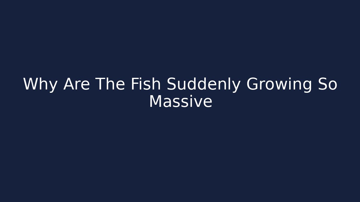 Why Are The Fish Suddenly Growing So Massive