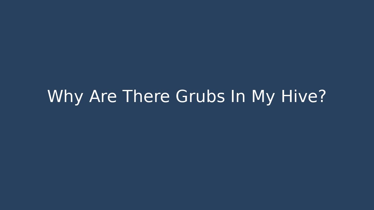 Why Are There Grubs In My Hive?