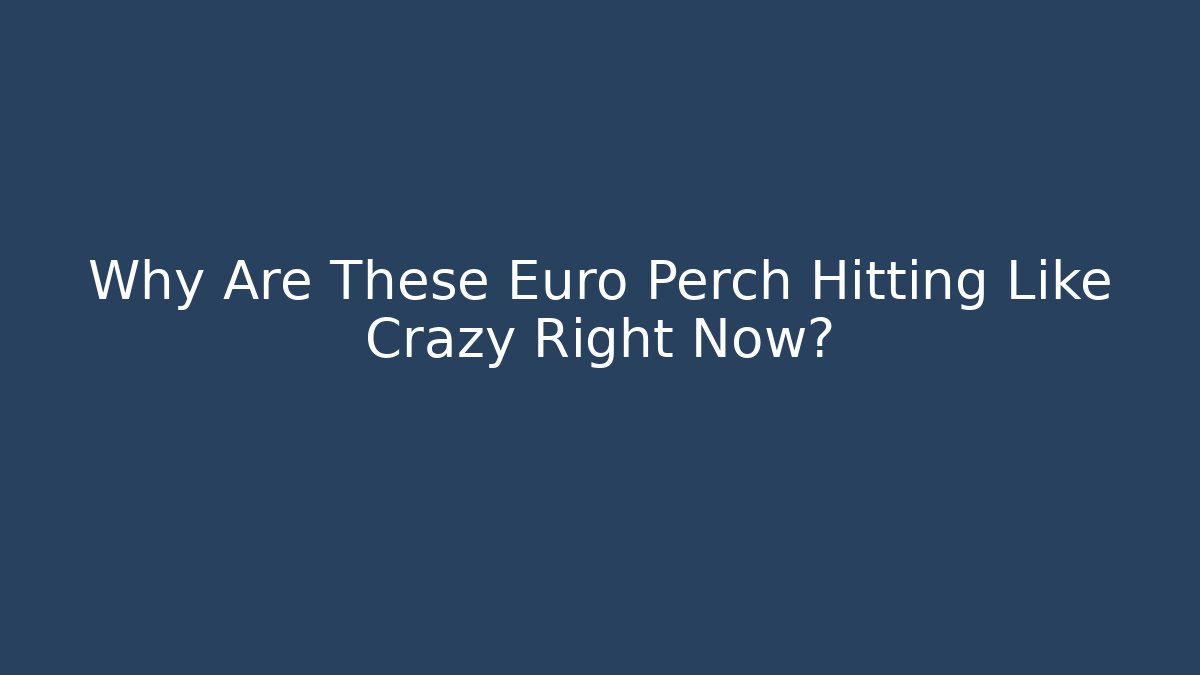 Why Are These Euro Perch Hitting Like Crazy Right Now?