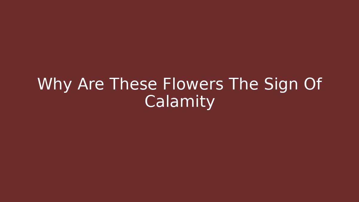 Why Are These Flowers The Sign Of Calamity