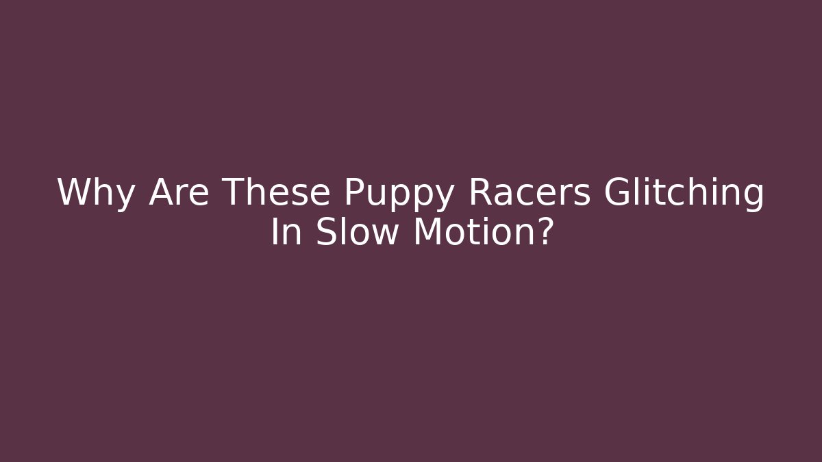 Why Are These Puppy Racers Glitching In Slow Motion?
