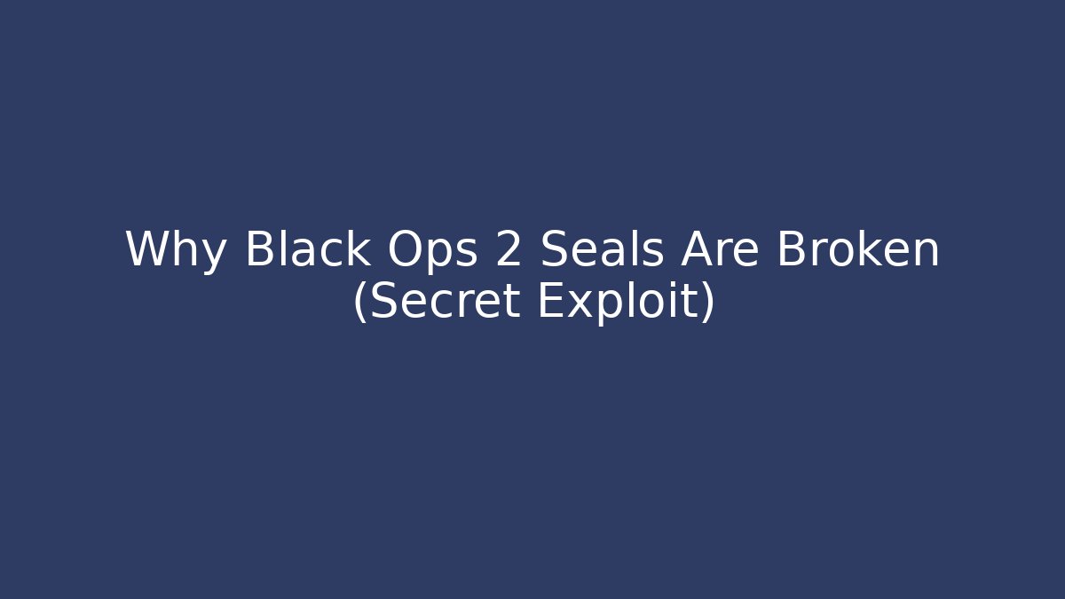 Why Black Ops 2 Seals Are Broken (Secret Exploit)