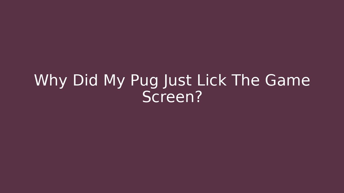 Why Did My Pug Just Lick The Game Screen?