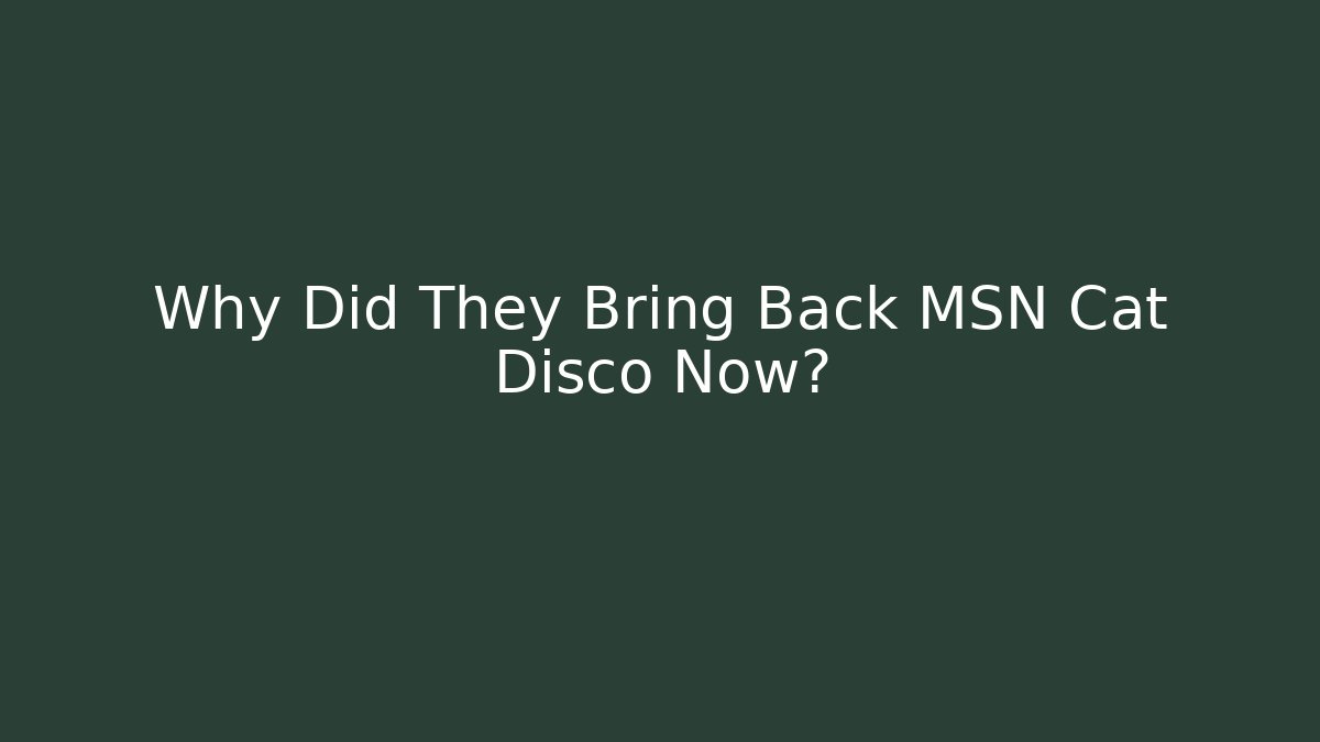 Why Did They Bring Back MSN Cat Disco Now?