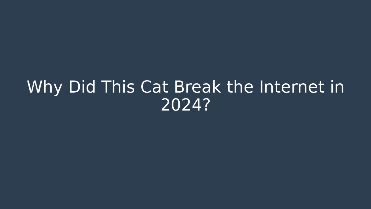 Why Did This Cat Break the Internet in 2024? - Critter Realm
