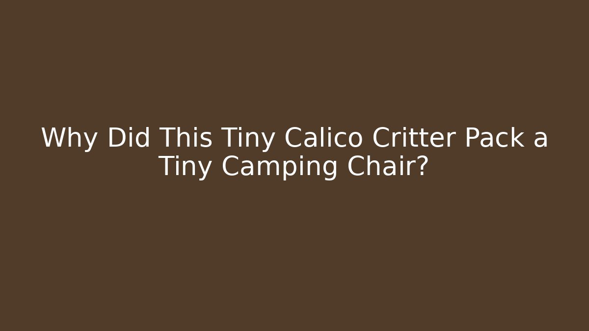 Why Did This Tiny Calico Critter Pack a Tiny Camping Chair? - Critter Realm