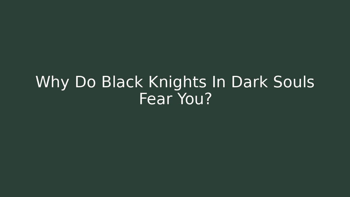 Why Do Black Knights In Dark Souls Fear You?