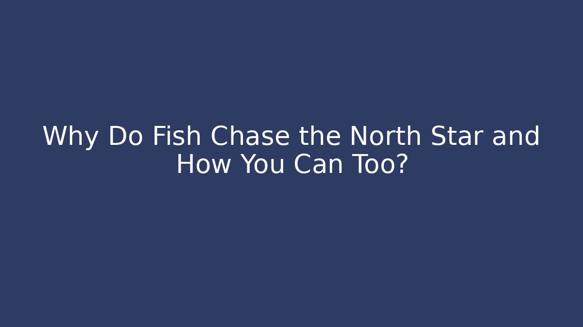 Why Do Fish Chase the North Star and How You Can Too?