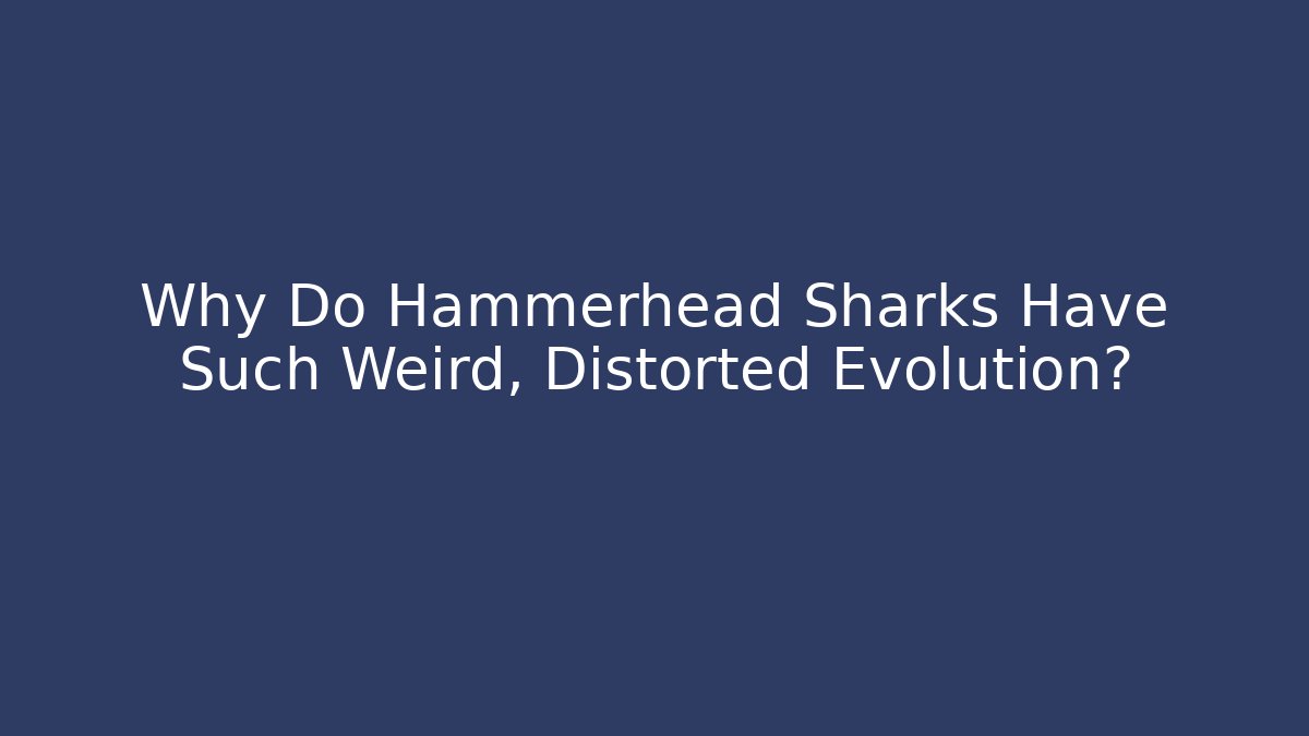 Why Do Hammerhead Sharks Have Such Weird, Distorted Evolution?