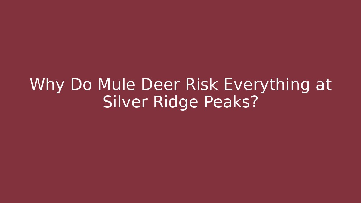 Why Do Mule Deer Risk Everything at Silver Ridge Peaks? - Critter Realm