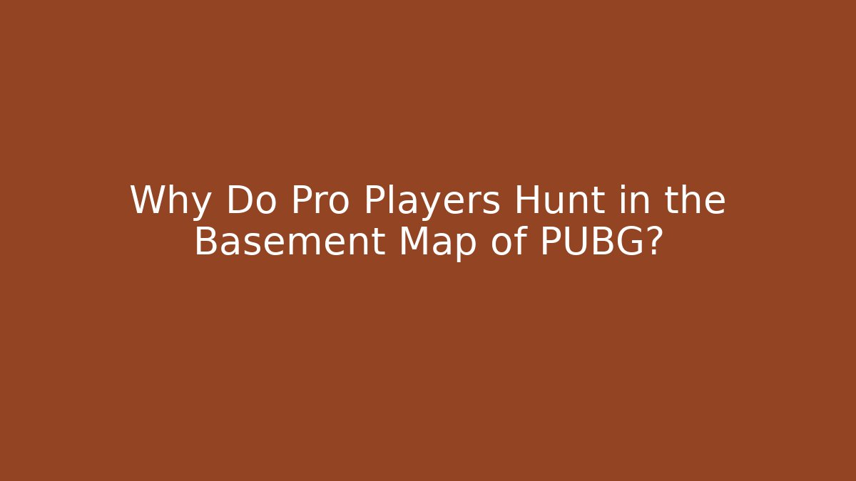 Why Do Pro Players Hunt in the Basement Map of PUBG?