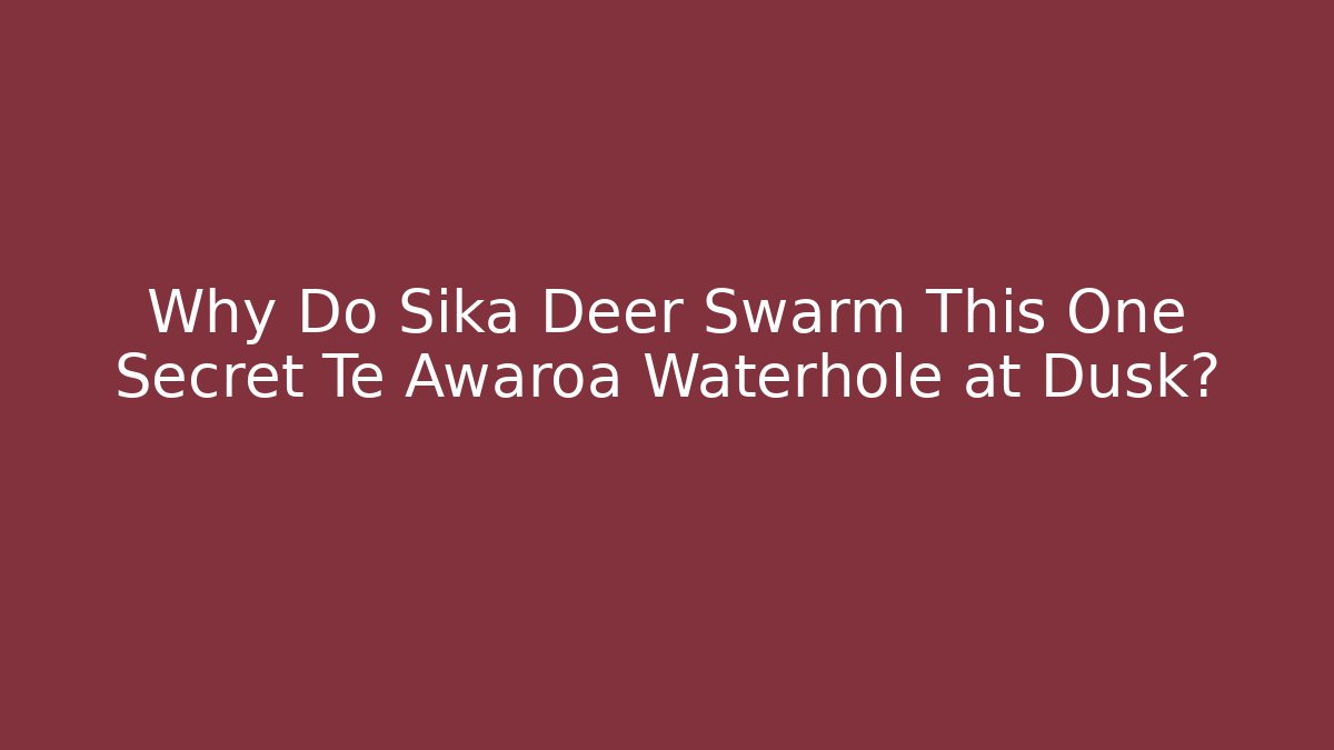 Why Do Sika Deer Swarm This One Secret Te Awaroa Waterhole at Dusk?