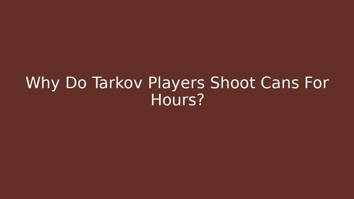 Why Do Tarkov Players Shoot Cans For Hours?