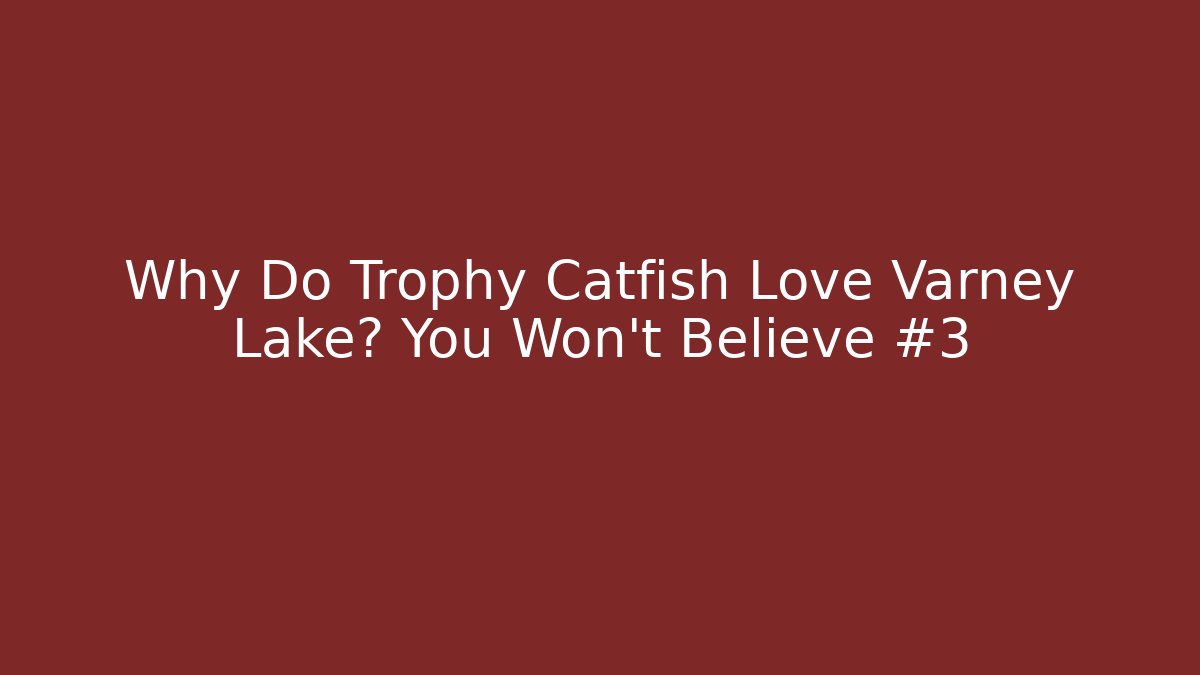Why Do Trophy Catfish Love Varney Lake? You Won't Believe #3