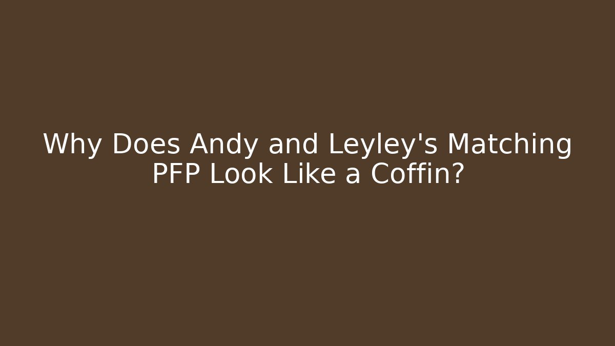 Why Does Andy and Leyley's Matching PFP Look Like a Coffin?