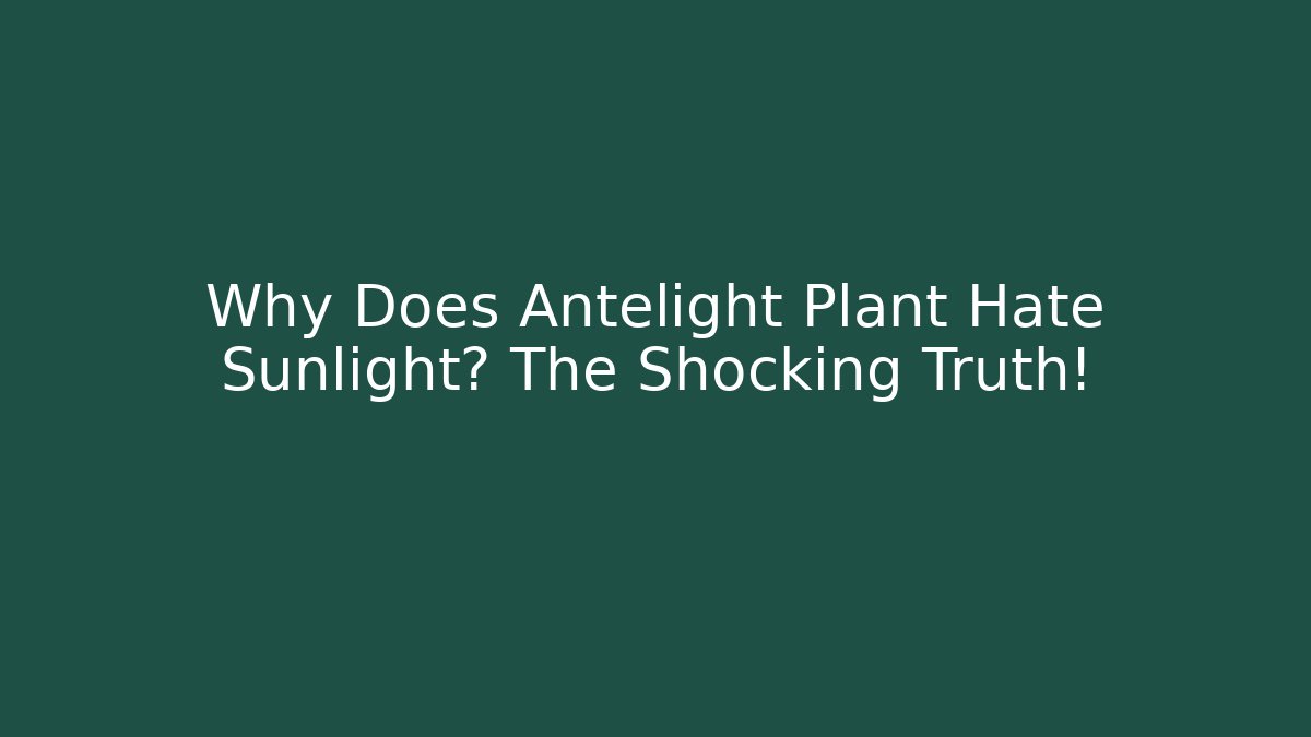 Why Does Antelight Plant Hate Sunlight? The Shocking Truth!