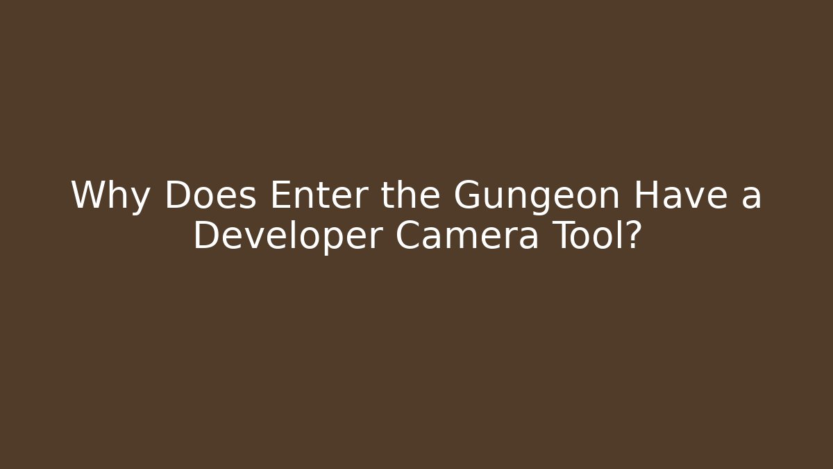 Why Does Enter the Gungeon Have a Developer Camera Tool?