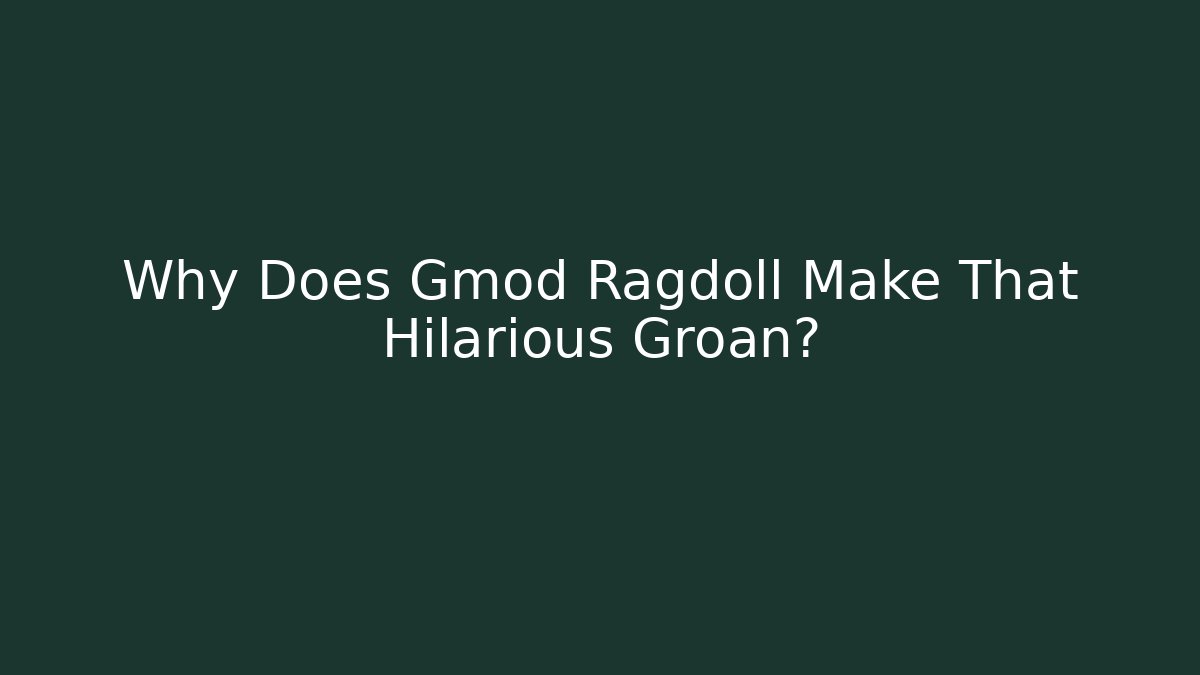 Why Does Gmod Ragdoll Make That Hilarious Groan?