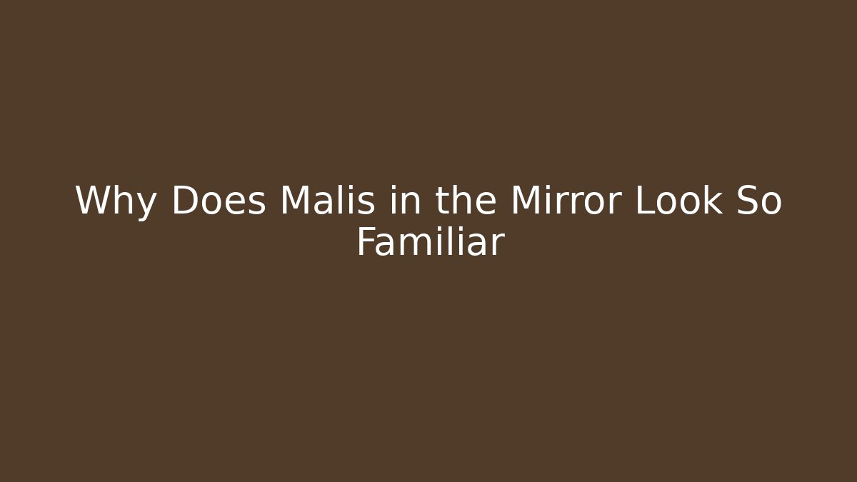 Why Does Malis in the Mirror Look So Familiar