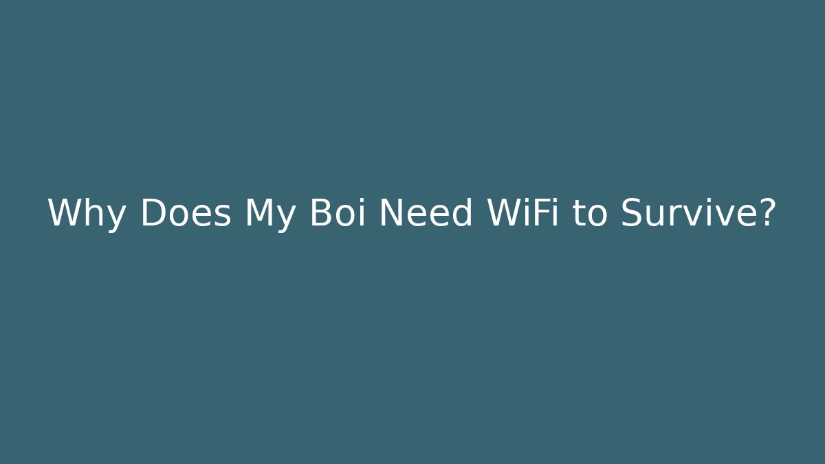 Why Does My Boi Need WiFi to Survive?