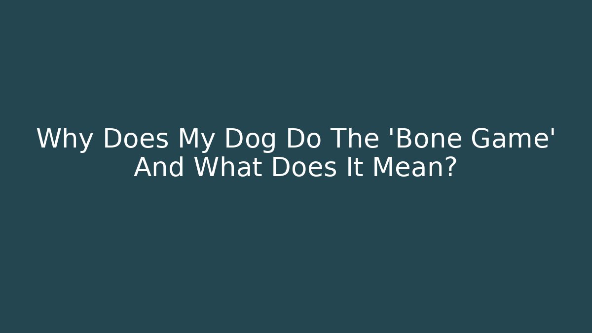Why Does My Dog Do The 'Bone Game' And What Does It Mean?