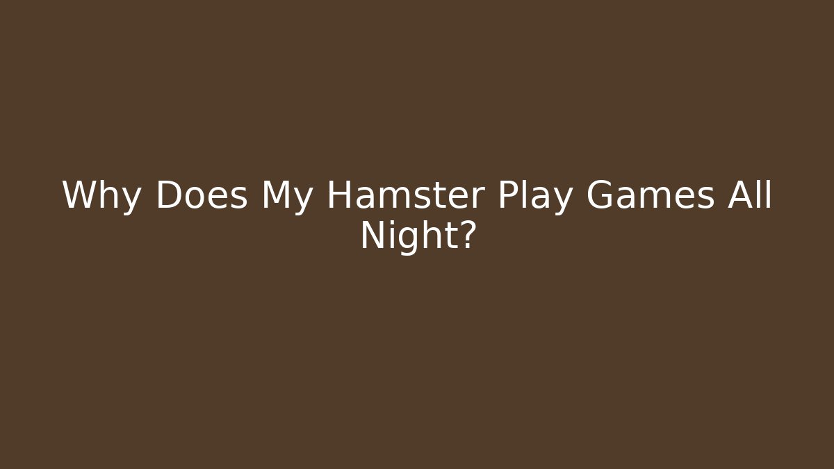 Why Does My Hamster Play Games All Night?