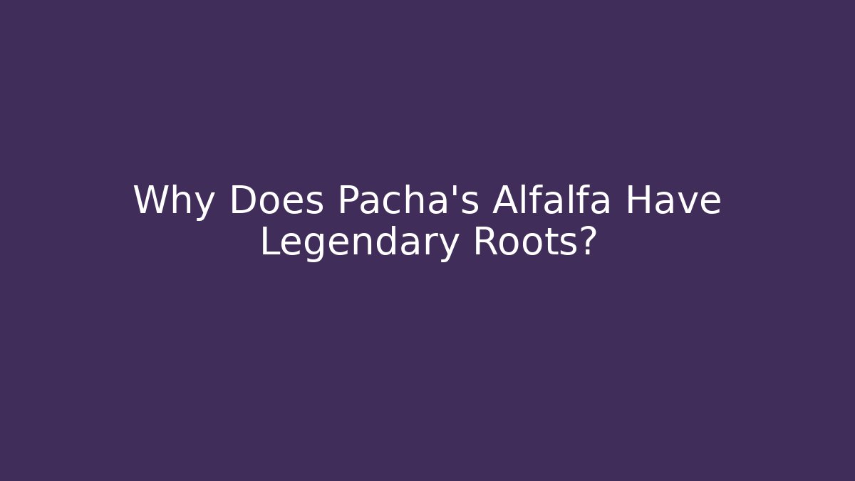 Why Does Pacha's Alfalfa Have Legendary Roots?