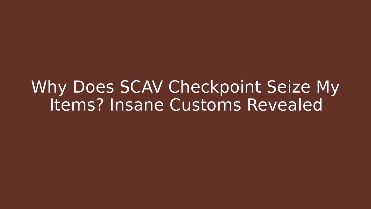 Why Does SCAV Checkpoint Seize My Items? Insane Customs Revealed