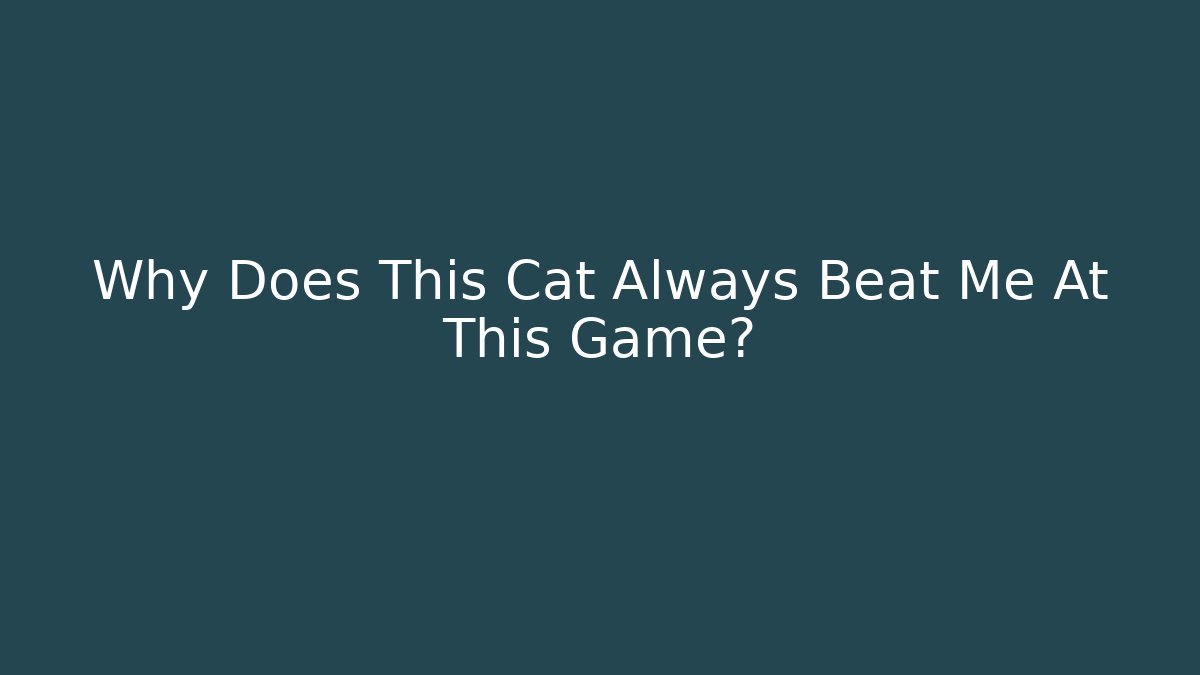 Why Does This Cat Always Beat Me At This Game?
