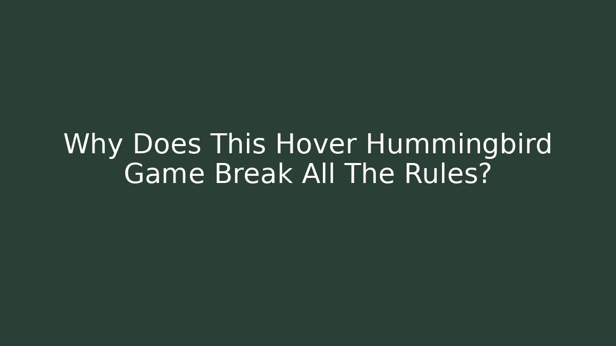 Why Does This Hover Hummingbird Game Break All The Rules? - Critter Realm