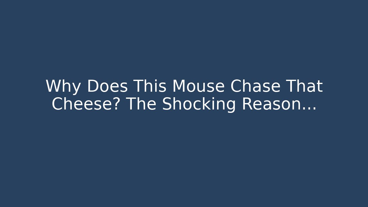 Why Does This Mouse Chase That Cheese? The Shocking Reason... - Critter Realm