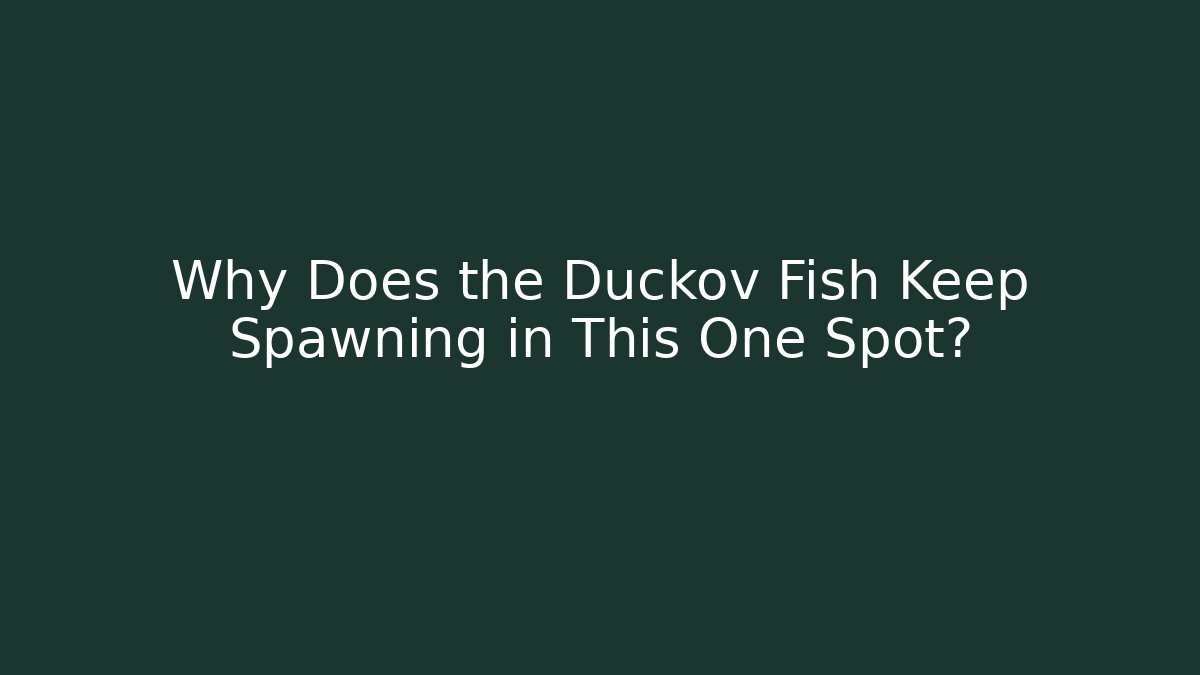 Why Does the Duckov Fish Keep Spawning in This One Spot?