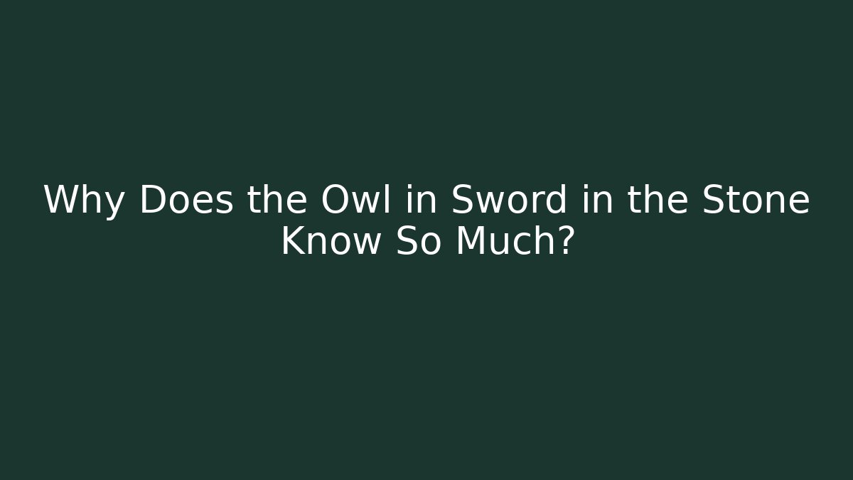 Why Does the Owl in Sword in the Stone Know So Much?