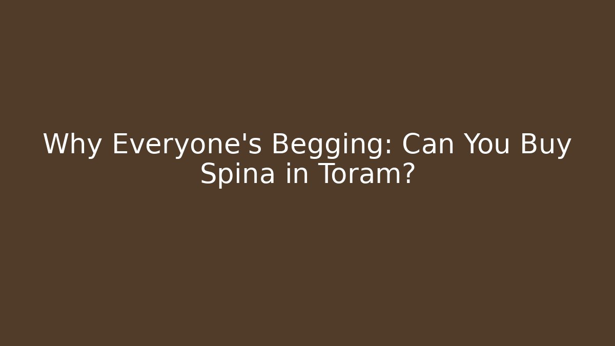 Why Everyone's Begging: Can You Buy Spina in Toram?