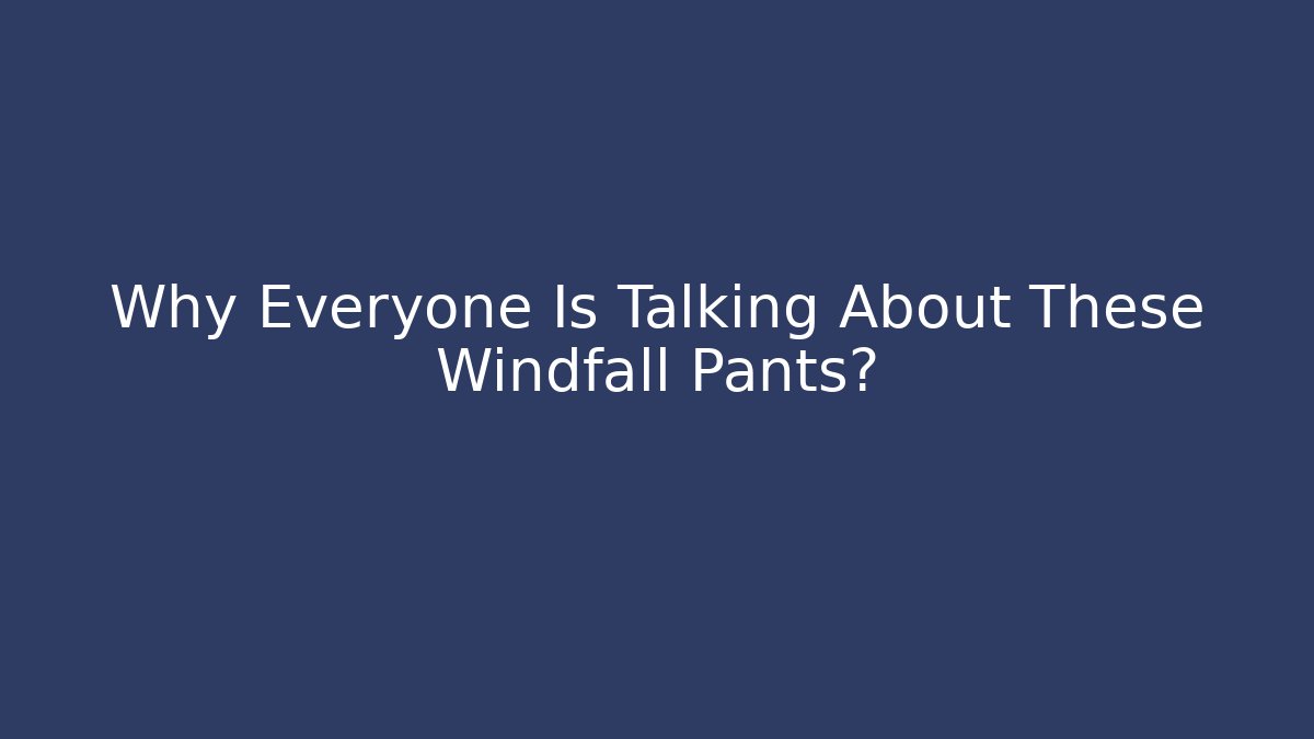 Why Everyone Is Talking About These Windfall Pants?