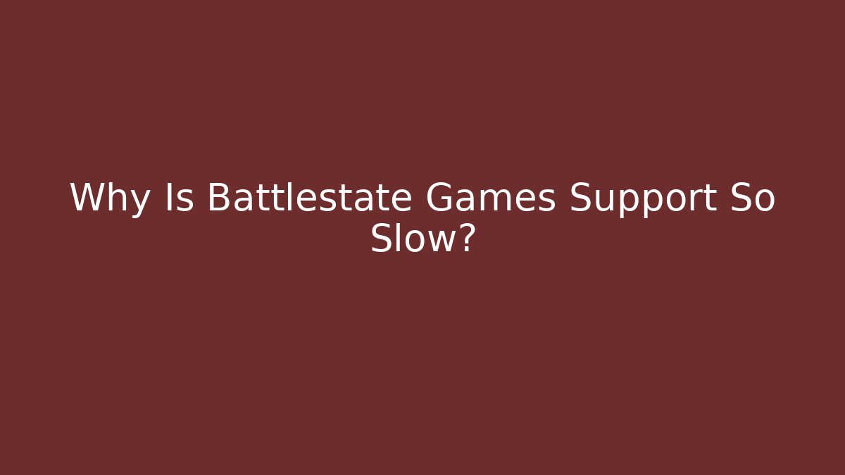 Why Is Battlestate Games Support So Slow?