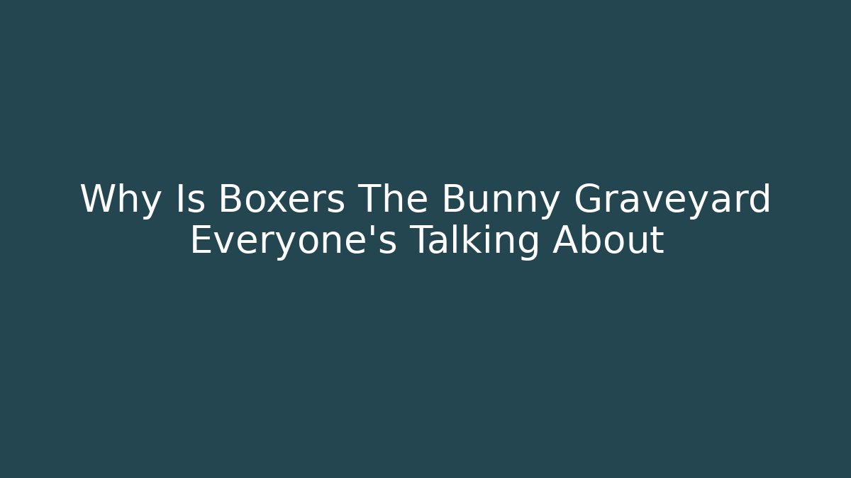Why Is Boxers The Bunny Graveyard Everyone's Talking About