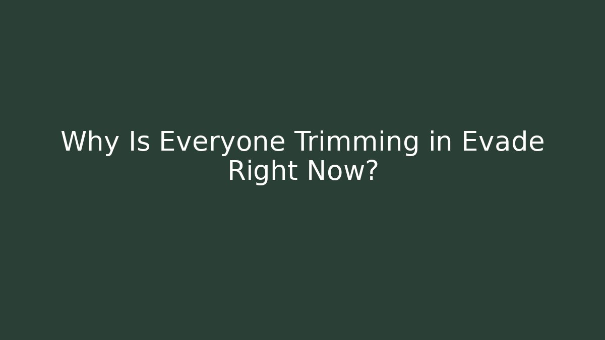 Why Is Everyone Trimming in Evade Right Now?