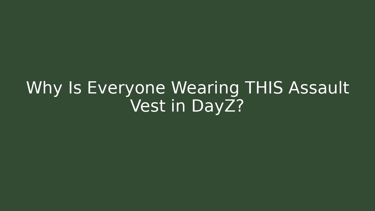 Why Is Everyone Wearing THIS Assault Vest in DayZ?