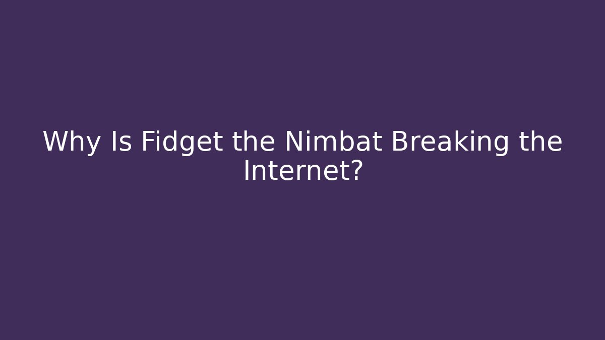 Why Is Fidget the Nimbat Breaking the Internet?