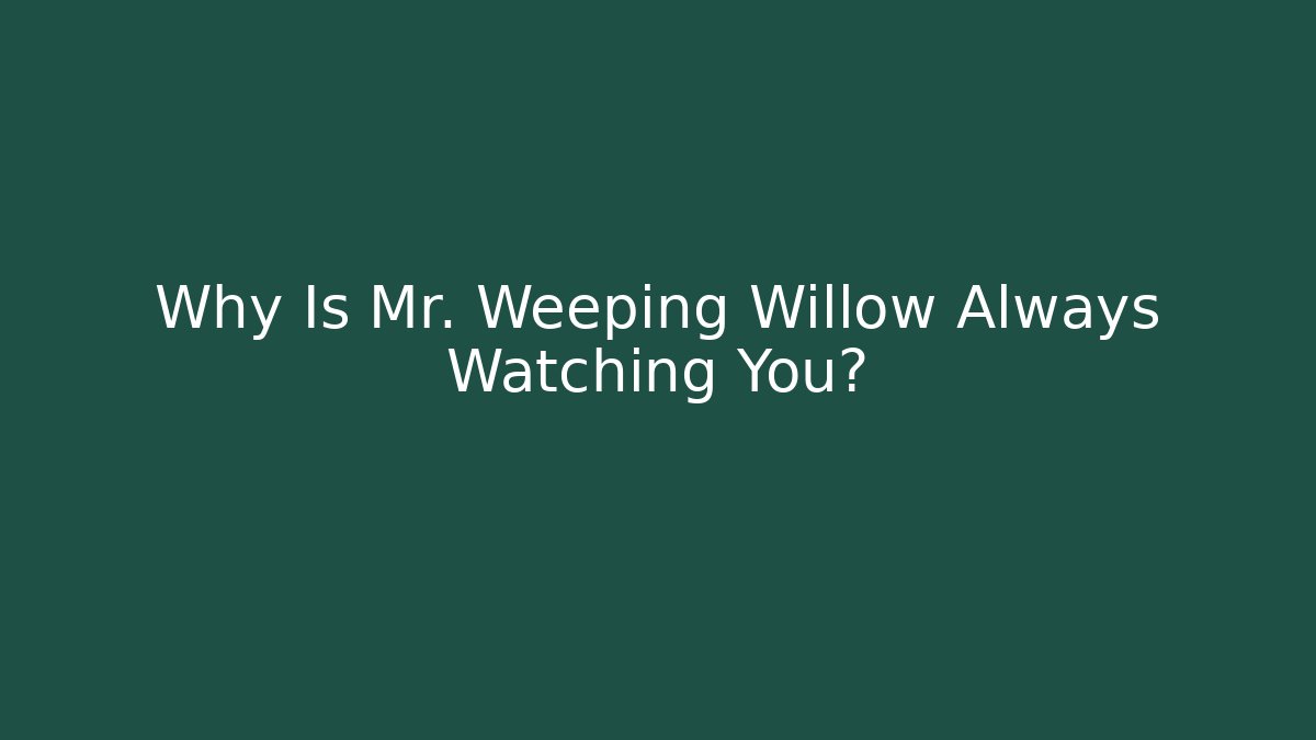 Why Is Mr. Weeping Willow Always Watching You?