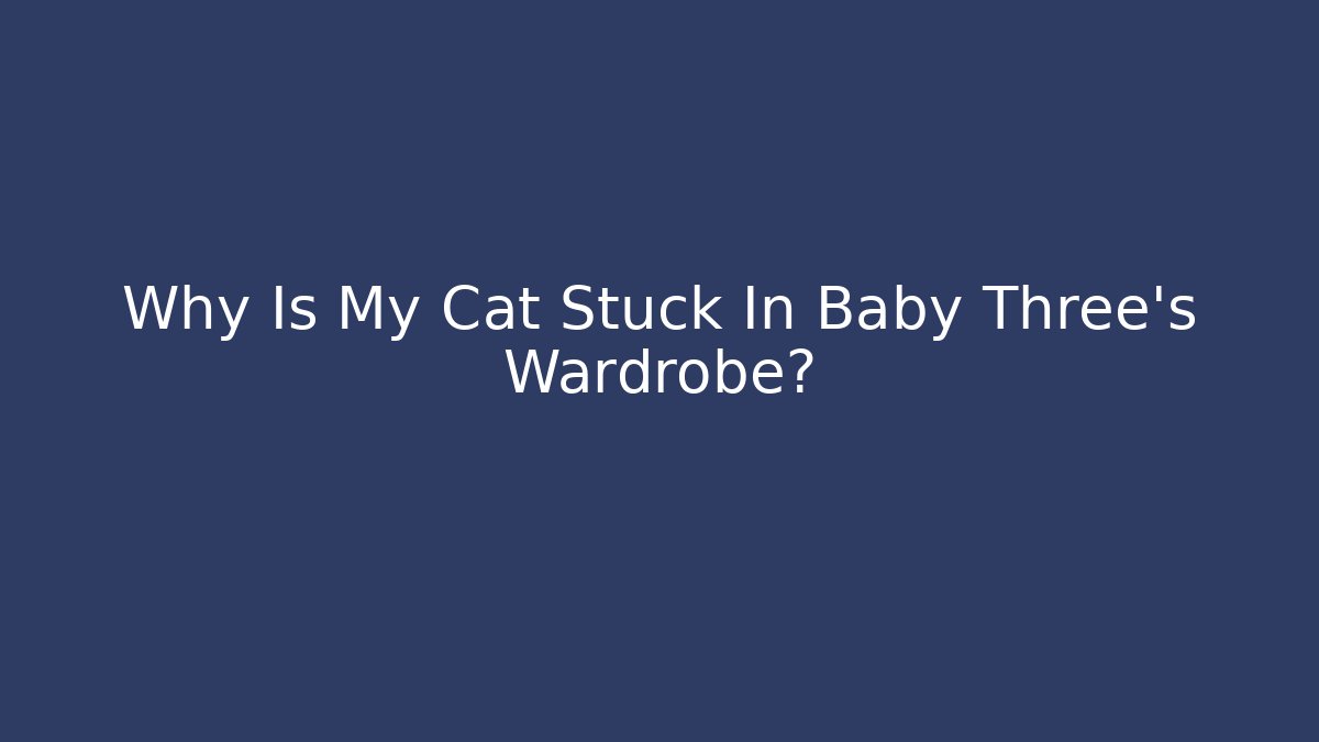 Why Is My Cat Stuck In Baby Three's Wardrobe? - Critter Realm