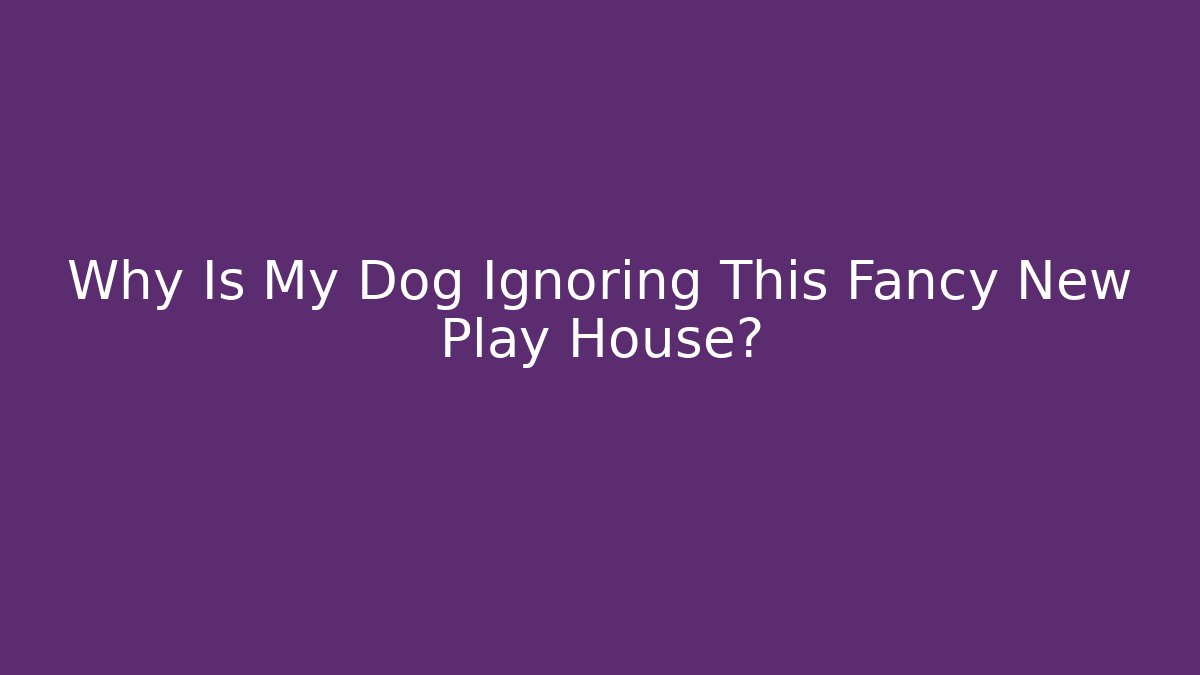Why Is My Dog Ignoring This Fancy New Play House?