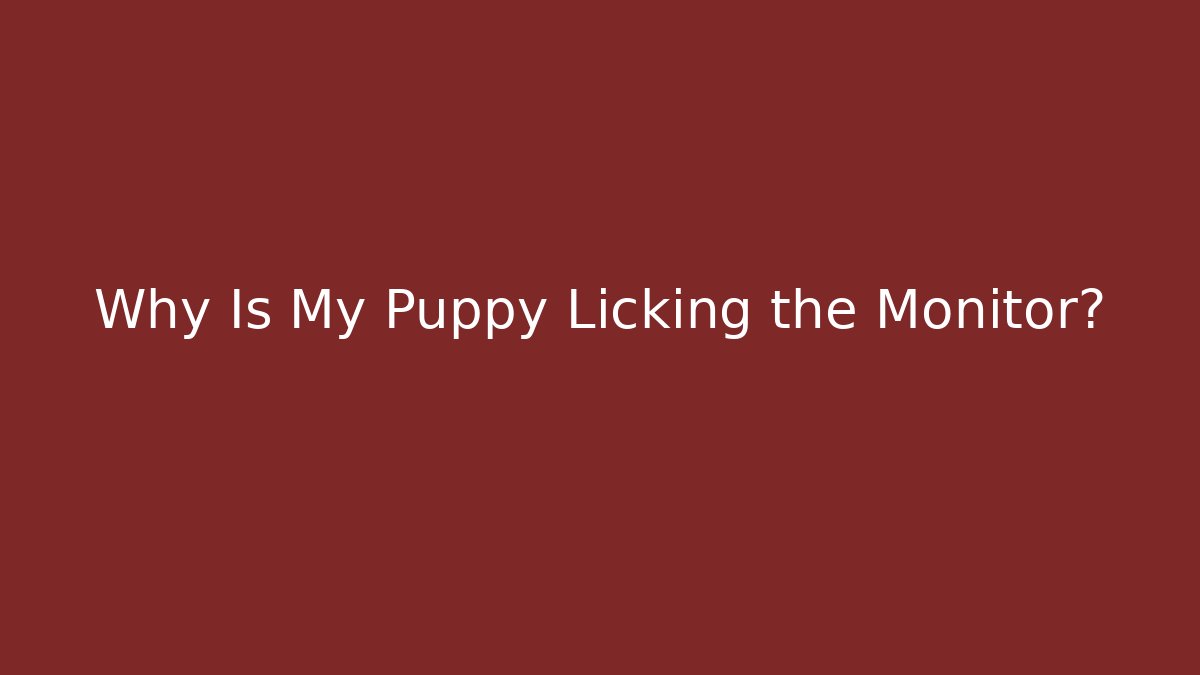 Why Is My Puppy Licking the Monitor?