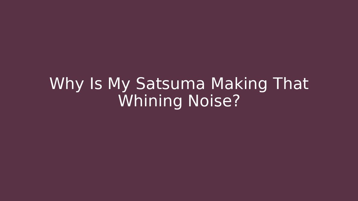 Why Is My Satsuma Making That Whining Noise?