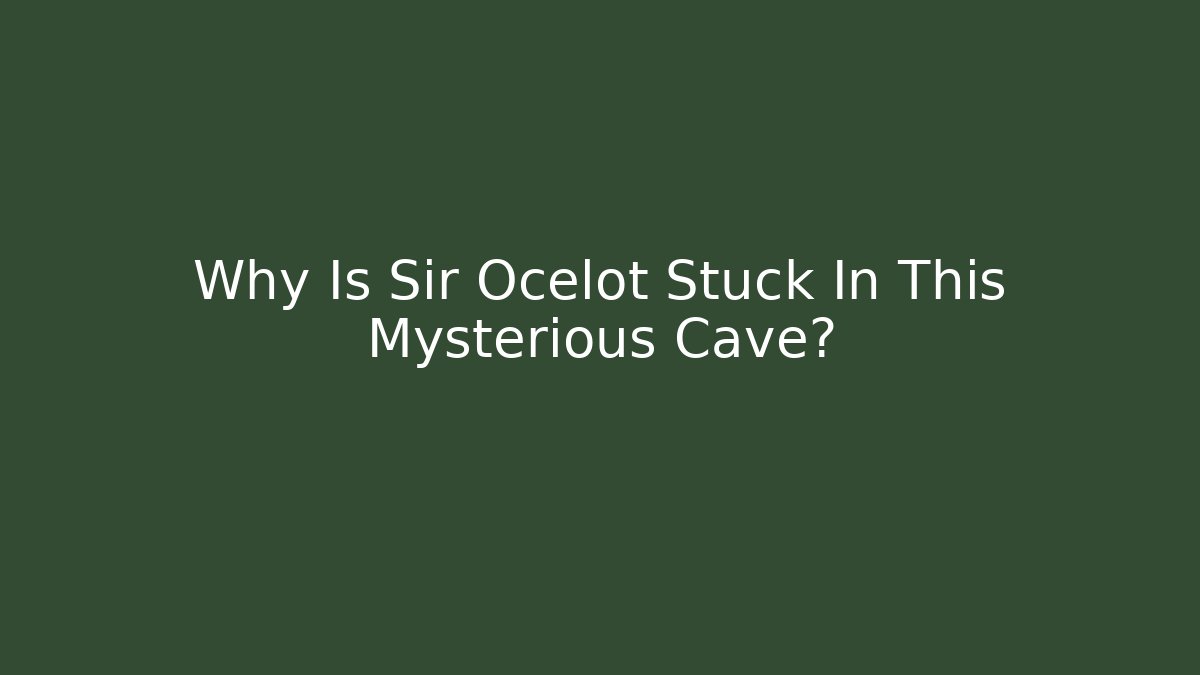 Why Is Sir Ocelot Stuck In This Mysterious Cave?