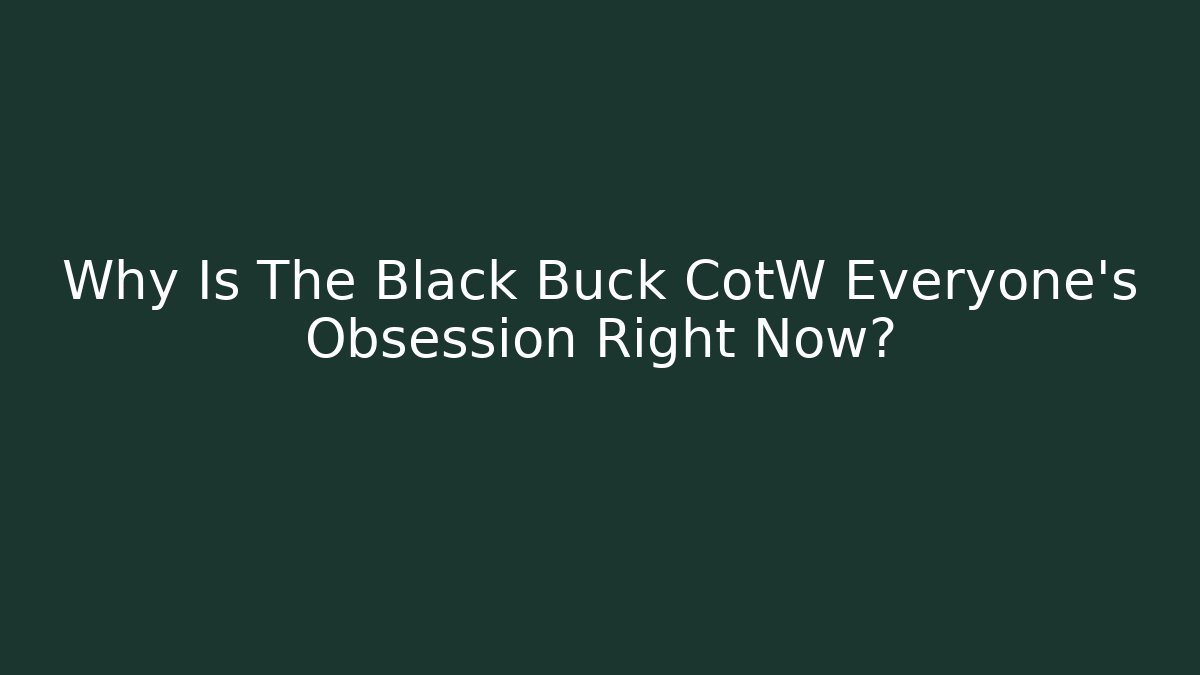 Why Is The Black Buck CotW Everyone’s Obsession Right Now?