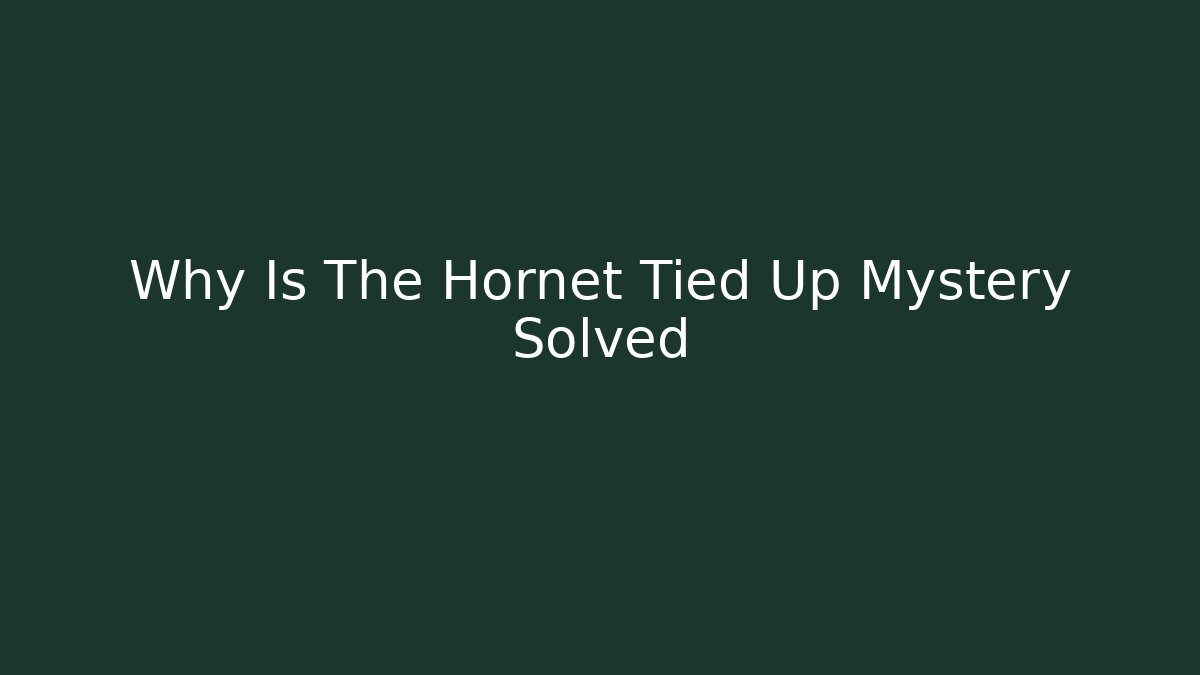 Why Is The Hornet Tied Up Mystery Solved