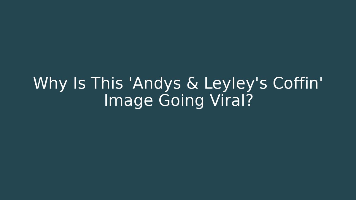 Why Is This 'Andys & Leyley's Coffin' Image Going Viral?