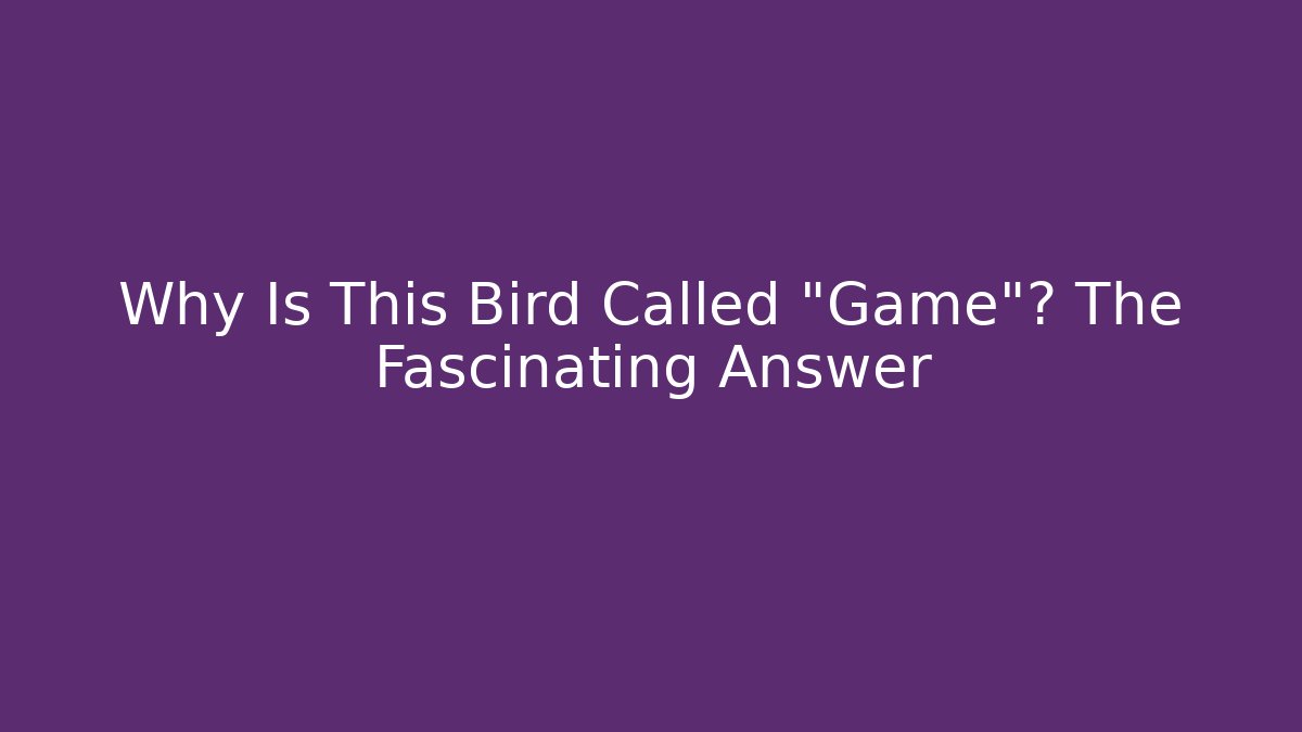 Why Is This Bird Called "Game"? The Fascinating Answer - Critter Realm
